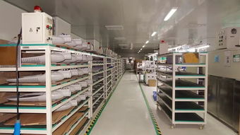 響應(yīng)一帶一路倡議，燈具塑件企業(yè)積極拓展海外市場