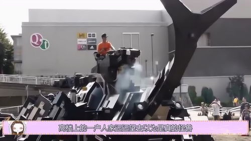 日本驚現(xiàn)巨型機(jī)械甲蟲汽車 七旬研發(fā)者11載匠心鑄就，推動(dòng)機(jī)械設(shè)備租賃新篇章